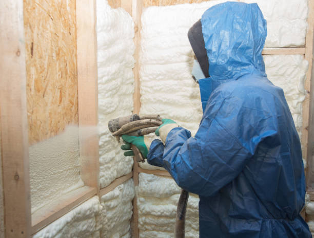 Best Spray Foam Insulation  in Calcium, NY